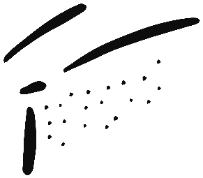 Image of the occurrence